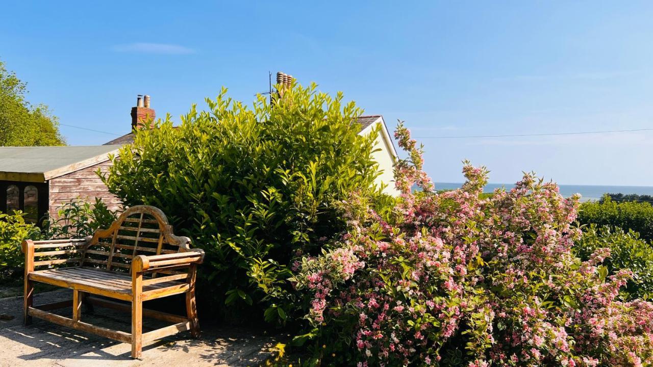 Gordy Hall -Sea Facing Welsh Cottage With Stunning Views Pendine Kültér fotó